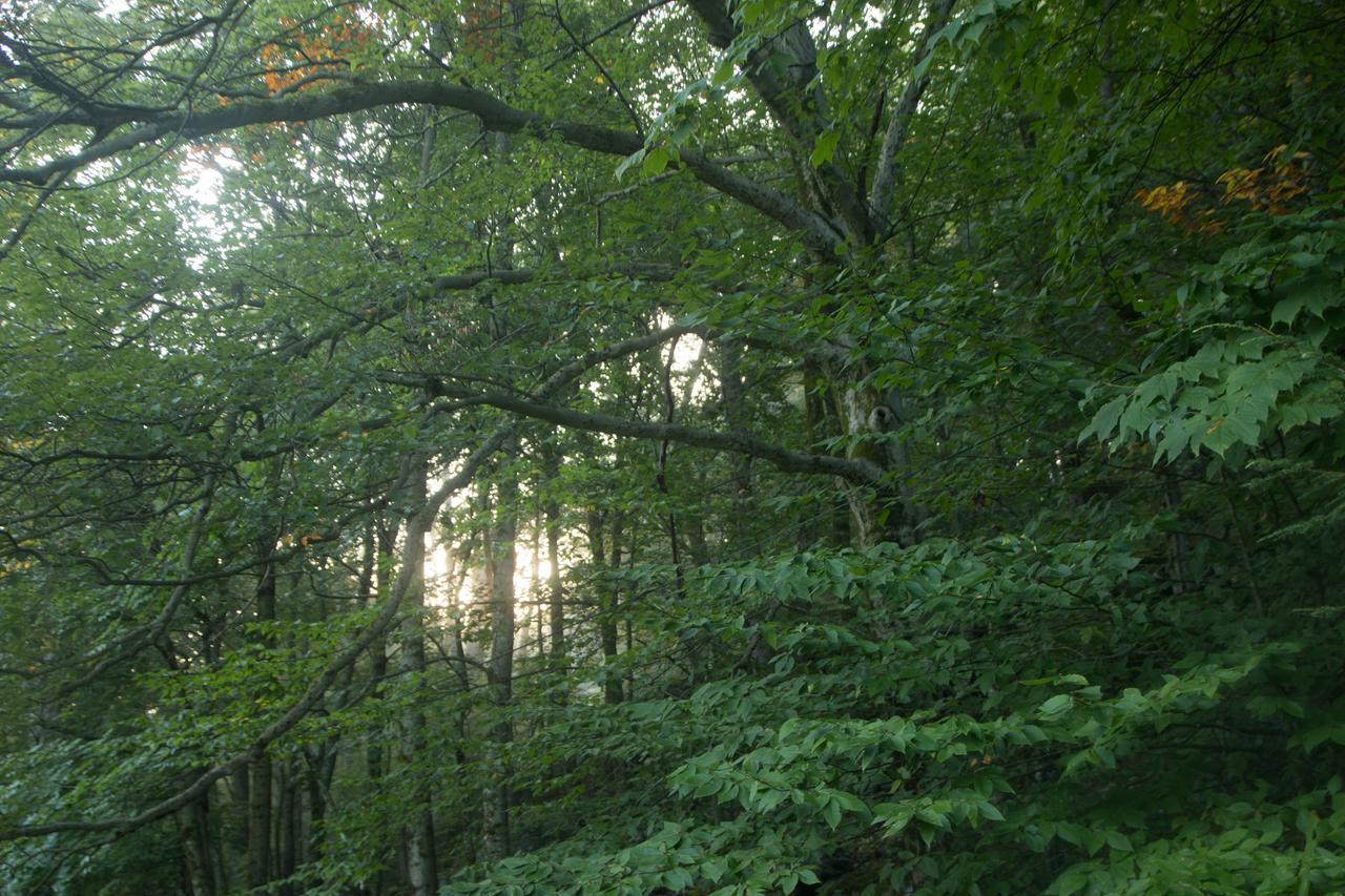 Mountain View Green Retreat Norfolk Esterno foto